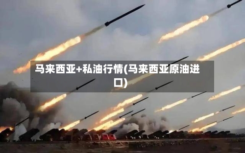 马来西亚+私油行情(马来西亚原油进口)-第2张图片