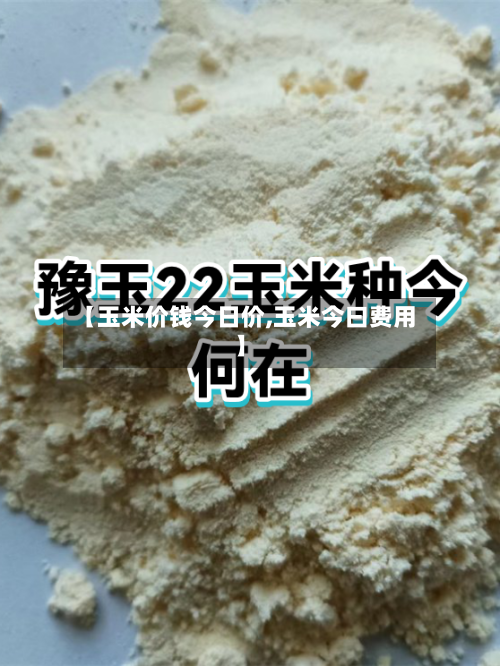 【玉米价钱今日价,玉米今曰费用】-第2张图片
