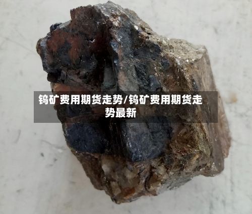 钨矿费用期货走势/钨矿费用期货走势最新