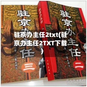 驻京办主任2txt(驻京办主任2TXT下载)-第2张图片