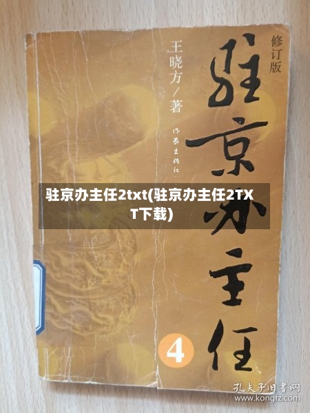 驻京办主任2txt(驻京办主任2TXT下载)-第3张图片
