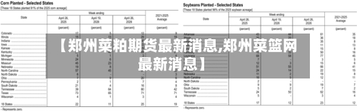 【郑州菜粕期货最新消息,郑州菜篮网最新消息】-第2张图片