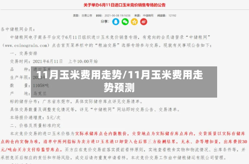 11月玉米费用走势/11月玉米费用走势预测-第2张图片