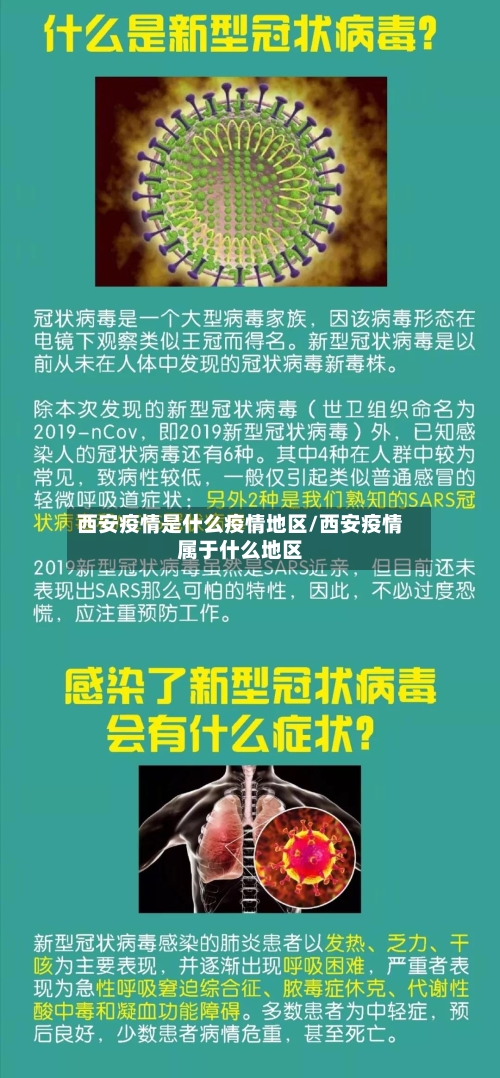 西安疫情是什么疫情地区/西安疫情属于什么地区-第2张图片