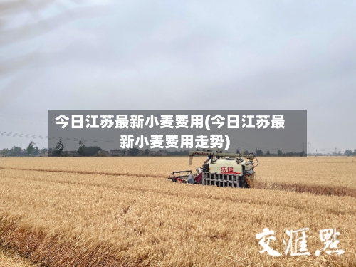 今日江苏最新小麦费用(今日江苏最新小麦费用走势)-第2张图片