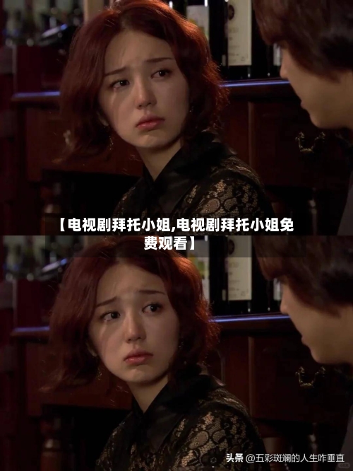 【电视剧拜托小姐,电视剧拜托小姐免费观看】