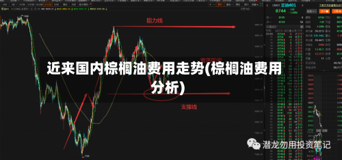 近来国内棕榈油费用走势(棕榈油费用分析)-第2张图片