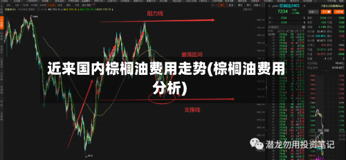 近来国内棕榈油费用走势(棕榈油费用分析)