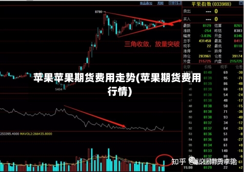 苹果苹果期货费用走势(苹果期货费用行情)-第3张图片