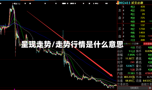 呈现走势/走势行情是什么意思