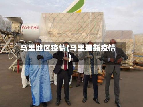 马里地区疫情(马里最新疫情)-第3张图片