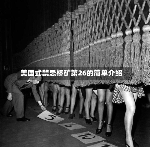 美国式禁忌桥矿第26的简单介绍-第2张图片