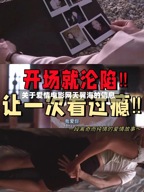关于爱情电影网天翼海的信息-第2张图片