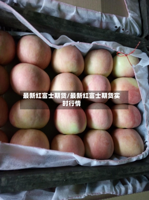 最新红富士期货/最新红富士期货实时行情-第2张图片