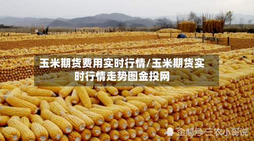 玉米期货费用实时行情/玉米期货实时行情走势图金投网-第2张图片