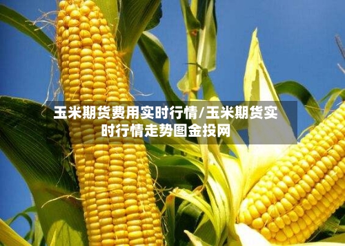 玉米期货费用实时行情/玉米期货实时行情走势图金投网