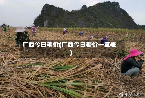 广西今日糖价(广西今日糖价一览表)