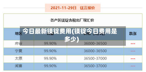 今日最新镁锭费用(镁锭今日费用是多少)