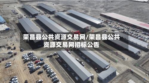 荣昌县公共资源交易网/荣昌县公共资源交易网招标公告-第2张图片