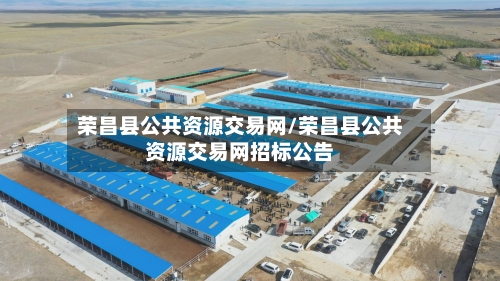 荣昌县公共资源交易网/荣昌县公共资源交易网招标公告-第3张图片