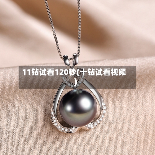 11钻试看120秒(十钻试看视频)-第2张图片