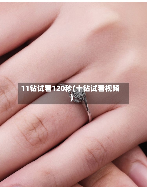 11钻试看120秒(十钻试看视频)