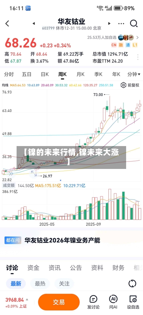 【镍的未来行情,镍未来大涨】