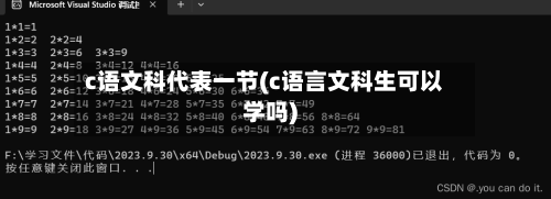 c语文科代表一节(c语言文科生可以学吗)-第2张图片