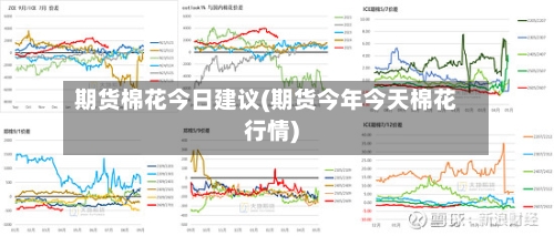 期货棉花今日建议(期货今年今天棉花行情)