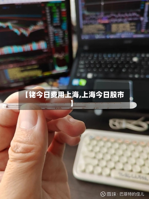 【铑今日费用上海,上海今日股市】-第3张图片