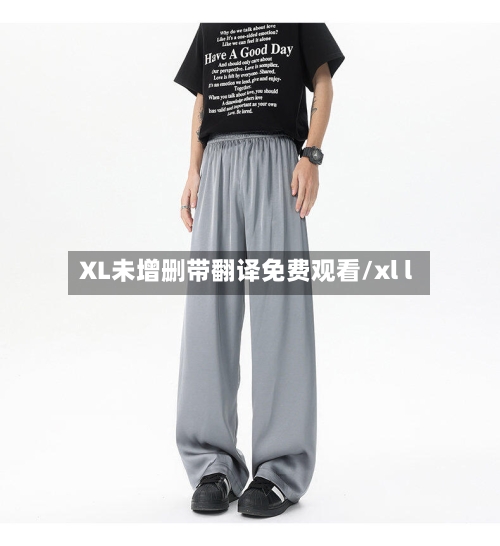 XL未增删带翻译免费观看/xl l