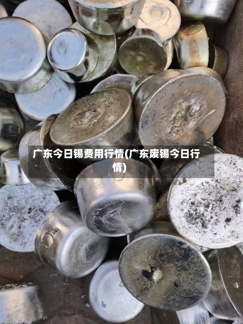 广东今日锡费用行情(广东废锡今日行情)-第2张图片