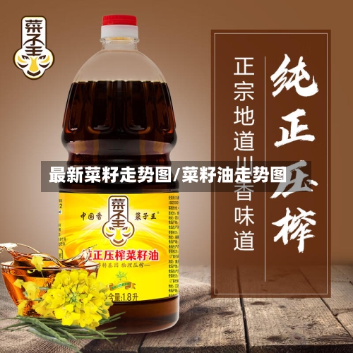 最新菜籽走势图/菜籽油走势图
