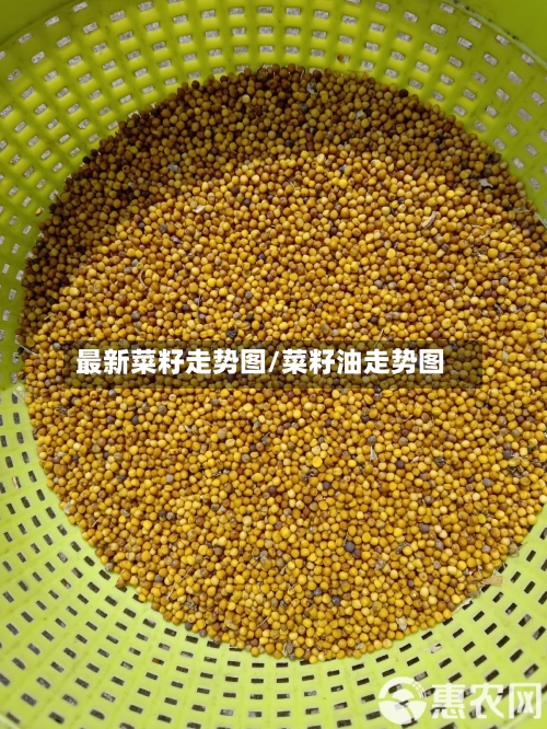 最新菜籽走势图/菜籽油走势图-第2张图片