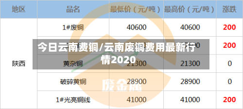 今日云南费铜/云南废铜费用最新行情2020