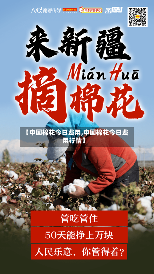 【中国棉花今日费用,中国棉花今日费用行情】