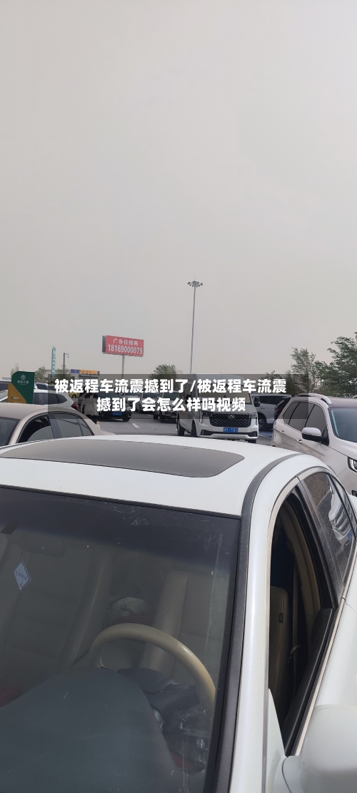 被返程车流震撼到了/被返程车流震撼到了会怎么样吗视频