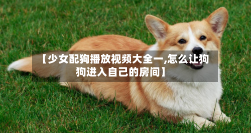 【少女配狗播放视频大全一,怎么让狗狗进入自己的房间】-第2张图片