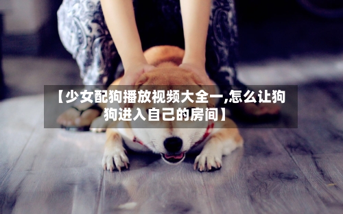 【少女配狗播放视频大全一,怎么让狗狗进入自己的房间】-第3张图片