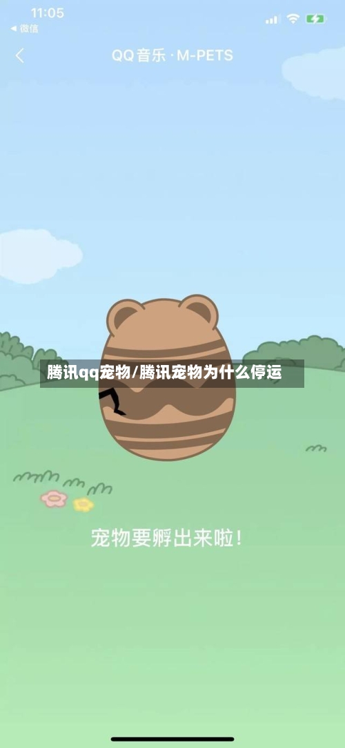 腾讯qq宠物/腾讯宠物为什么停运-第3张图片