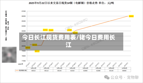 今日长江现货费用表/铑今日费用长江