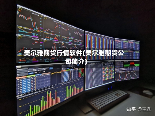 美尔雅期货行情软件(美尔雅期货公司简介)