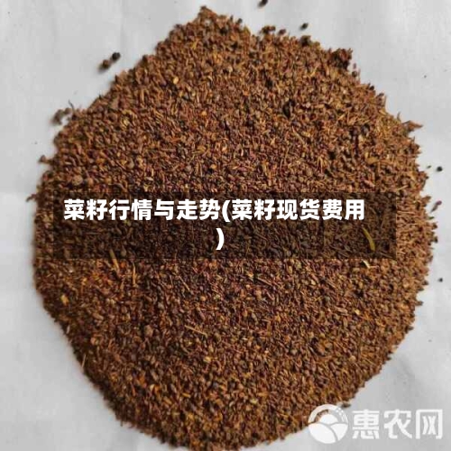 菜籽行情与走势(菜籽现货费用)-第2张图片