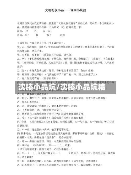 沈腾小品坑/沈腾小品坑稿-第3张图片