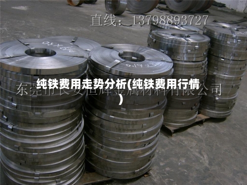 纯铁费用走势分析(纯铁费用行情)-第2张图片