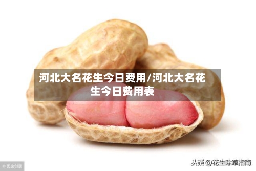 河北大名花生今日费用/河北大名花生今日费用表