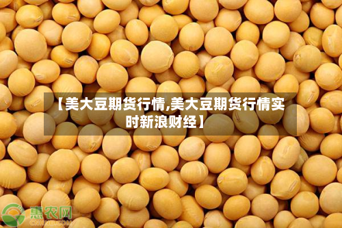 【美大豆期货行情,美大豆期货行情实时新浪财经】-第2张图片