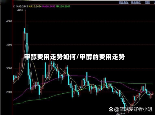 甲醇费用走势如何/甲醇的费用走势