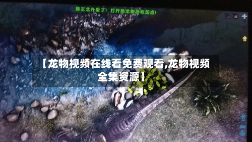 【龙物视频在线看免费观看,龙物视频全集资源】