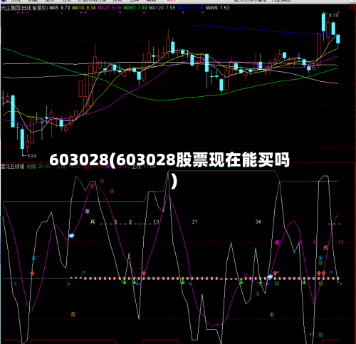 603028(603028股票现在能买吗)